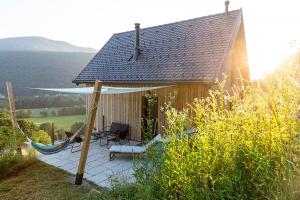 ein Haus mit einer Hängematte davor in der Unterkunft Riverview cabin in Straža