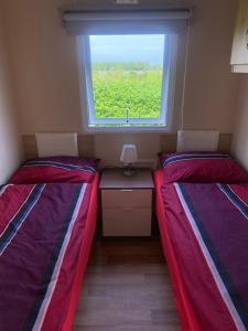 two beds in a small room with a window at B&B De Turfsteker in Emmer-Compascuum
