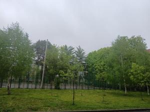 a fence in front of a park with trees at Sun Studio Onești in Onești