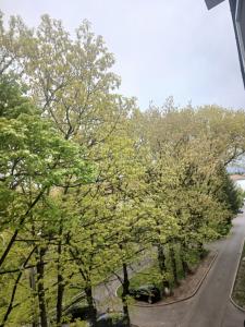 a view of a street with trees and a road at Sun Studio Onești in Onești
