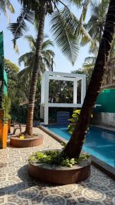 a pool with two palm trees next to a building at Aura Calangute in Calangute +12 photos