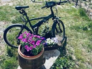 a bike parked next to a barrel with flowers at Pokoje gościnne Agroturystyka in Gierałtów