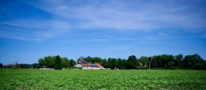 a house in the middle of a green field at auf der Muehle zwei in Zerbst