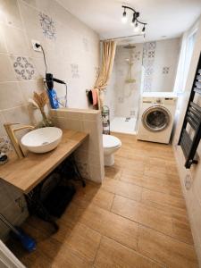 a bathroom with a toilet sink and a washing machine at Studio Bienvenue du côté de chez nous avec jardin privatif in Wignehies +67 photos