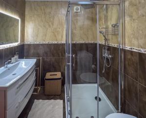 a bathroom with a shower and a toilet and a sink at Lake View in Fužine +12 photos