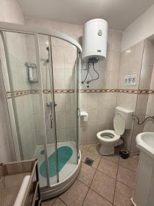 a bathroom with a shower and a toilet at Villa Palma in Prijevor +34 photos