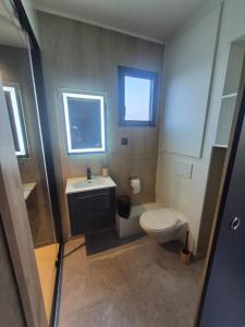 a small bathroom with a toilet and a sink at TREE LODGY - LE CHARME - Nouveau espace bien être disponible in Ray-sur-Saône
