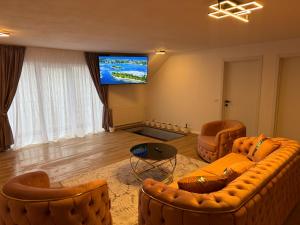 a living room with couches and a flat screen tv at Casa din Frasin in Poiana Mărului