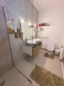 a bathroom with a shower and a sink and a toilet at Apartamento completo punta cana in Punta Cana