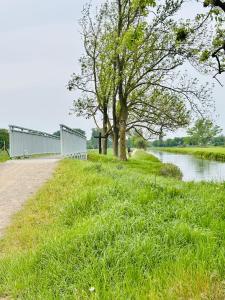 a tree and a building next to a river at Ferienwohnung Seelenliebe in Kevelaer