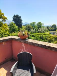 a balcony with a chair and a plant at Casa Daniela in Velletri