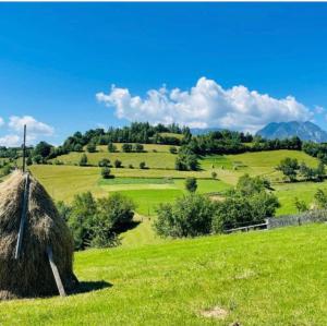 a lush green field with a haystack in the foreground at Casa din Frasin in Poiana Mărului