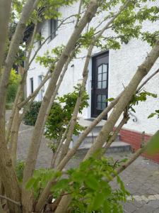a white house with a black door and some trees at Burato`s Haus in Minden
