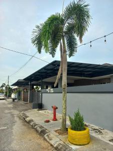 a palm tree and a fire hydrant in front of a building at mulia homestay in Teluk Intan