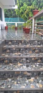 a stone walkway with a bench on a patio at Oasis Mountain Retreat in Le Morne +6 photos