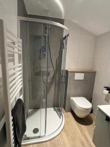 a bathroom with a shower and a toilet at B&B Itterhoeve in Neeritter