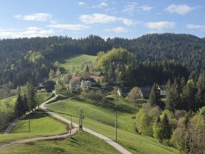 a green hillside with a house and a road at The Ramsons - Čemaž Glamping in Železniki