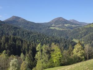 a mountain valley with trees and mountains in the background at The Ramsons - Čemaž Glamping in Železniki +1 photo