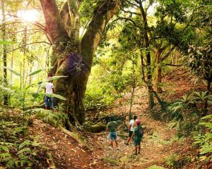 a group of people walking on a forest trail at Fundo San Jose Parque Ecológico & Lodge Hotel Asociado Casa Andina in La Merced +154 photos
