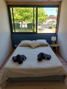 a bed with two blue towels on it with a window at chalet la rose des sables in Labenne