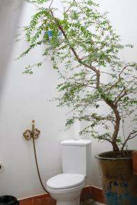 a bathroom with a toilet and a potted tree at Neverland de Papillons in Sa Ðéc