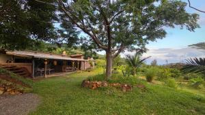 a house with a tree in the yard at Terganic Farmstay in Grand Sable