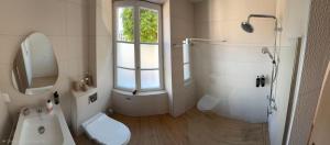 a bathroom with a toilet and a sink and a window at Les Terrasses Sainte Odile - Centre ville - Climatisation - Parking Privatif - Gare in Obernai +23 photos