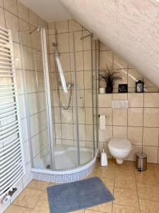 a bathroom with a shower and a toilet at Ferienwohnung Carla in Weißensee