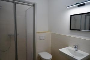 a bathroom with a shower and a toilet and a sink at Ostseelandhaus DHH Wendy 1 in Proseken