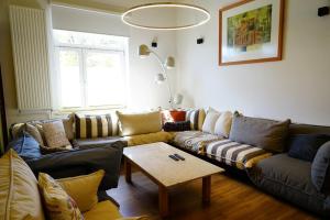 a living room with couches and a coffee table at Ostseelandhaus DHH Wendy 1 in Proseken