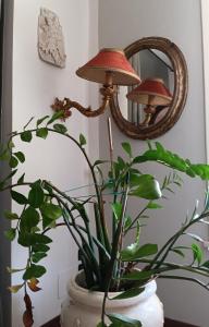 a plant in a vase with a lamp and a mirror at Homecoming apartment in Guastalla +48 photos