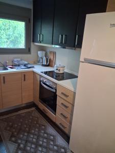 a kitchen with a refrigerator and a stove top oven at Villa Alexander in Xanthi +24 photos