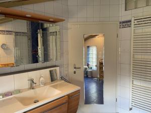 a bathroom with a sink and a mirror at Landidyll Engelhofen in Obersontheim +28 photos