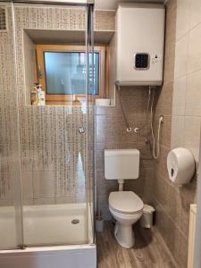 a small bathroom with a toilet and a shower at Holiday Home Over The River in Bovec +46 photos