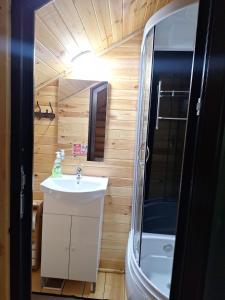 a small bathroom with a sink and a shower at Cabana La Bălănuț din Bucovina in Colacu +17 photos