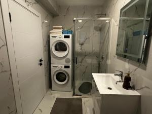 a bathroom with a washing machine and a sink at Dali Apartment in Bar +5 photos