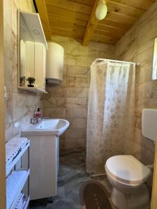 a bathroom with a toilet and a sink and a shower at Apartmani Kajkut in Banja Luka +39 photos