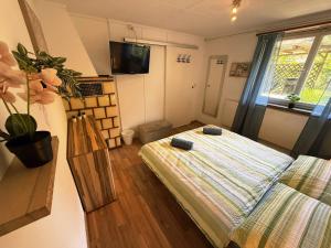 a small room with a bed and a television at Casa del Sole Apartments - Ruhig - Nähe Interlaken in Spiez