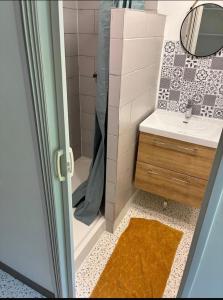 a small bathroom with a shower and a sink at joli petit studio breval in Bréval