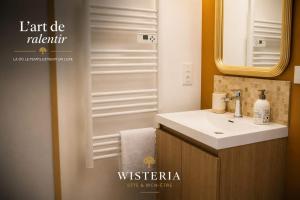 a bathroom with a sink and a shower at Wistéria #Piscine #Terrasse privée #Route des vins in Azé +4 photos