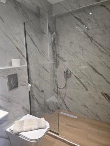 a bathroom with a glass shower with a toilet at Nikis studios in Skala Sotiros