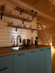 a kitchen with a sink and a wooden wall at Greenside Buknari in K'veda Ulianovka