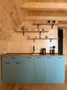 a kitchen with blue cabinets and a wooden wall at Greenside Buknari in K'veda Ulianovka +16 photos