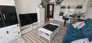 a living room with a blue couch and a tv at Bootanica Apartament Piła in Piła