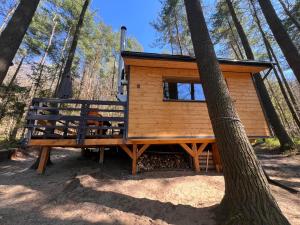 a tiny house in the woods with a tree at Kaszuby Mały Domek in Potuły