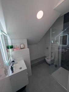 a bathroom with a shower and a sink and a toilet at Apartmaji Pippi in Bovec +37 photos