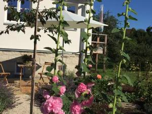 a garden with pink flowers in front of a house at Lerchenhof in Balingen