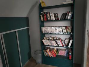 a green book shelf filled with books in a room at Chez YEP, 4 chambres 9 couchages in Anzin-Saint-Aubin