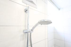 a shower with a shower head in a bathroom at Appartementhaus Ludwig in Mörbisch am See +65 photos
