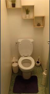 a bathroom with a white toilet with a rug at Hébergement TRAVAILLEURS in Monestrol +18 photos